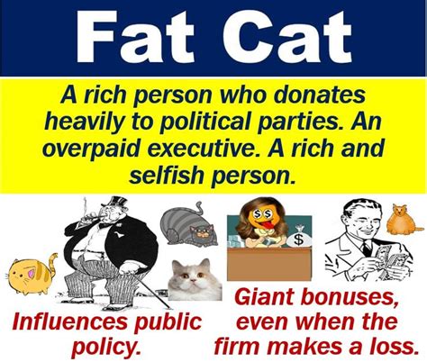 fat cat meaning